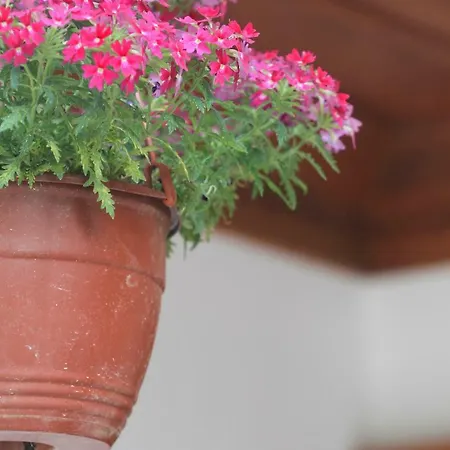 Aparthotel Deger Akyaka (Mugla)