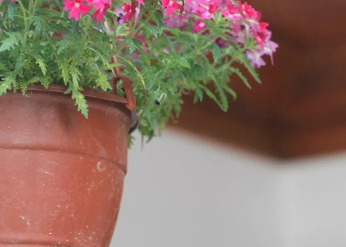 公寓式酒店 Deger 阿奇亚卡